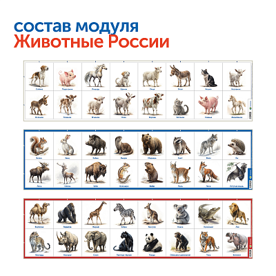 Природные богатства России с РобоМышью (с системой хранения) 4 мыши в комплекте