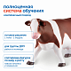 MS06941 Модуль "Животные фермы"
