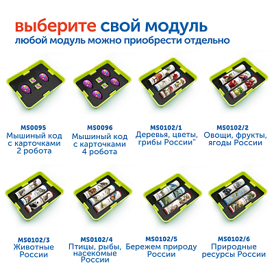 MS0102/6 Модуль "Природные ресурсы России"